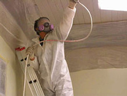 Mold Removal 