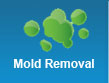 Mold Removal 